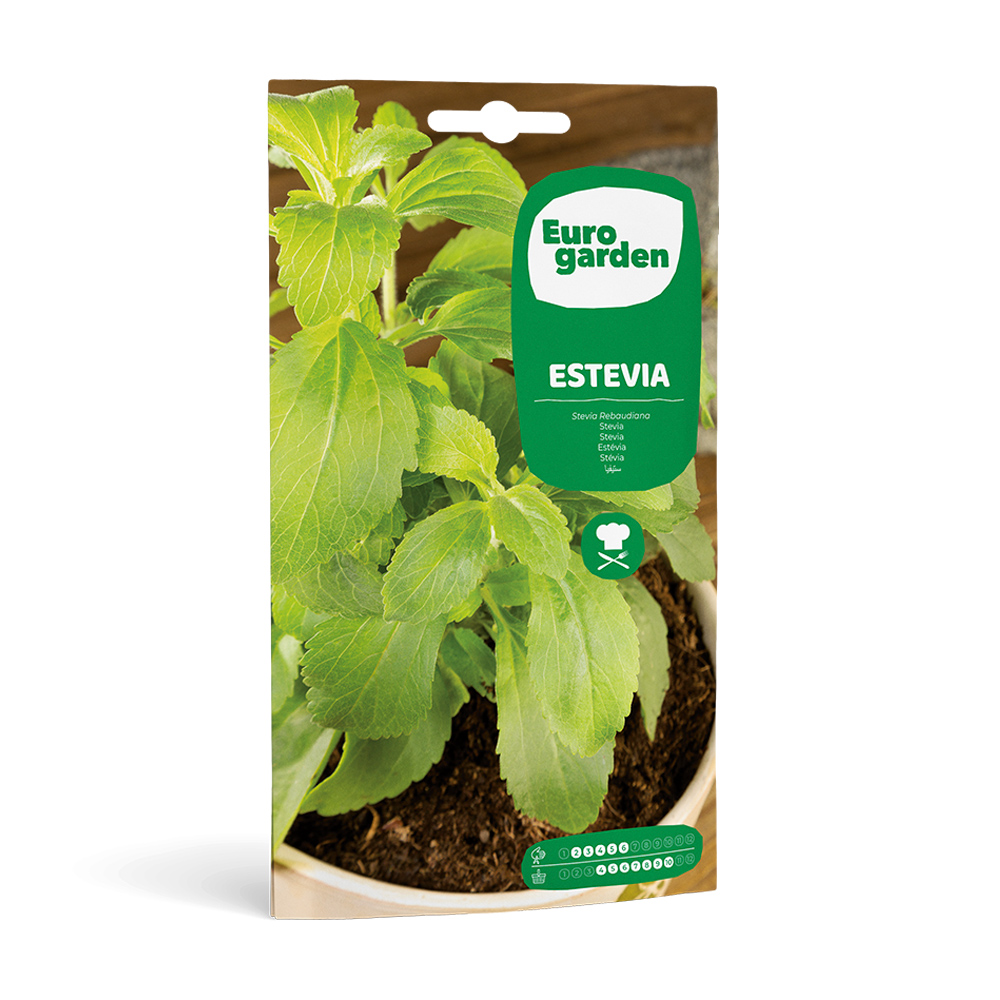 Estevia Sobre 30 semillas Eurogarden -35736000