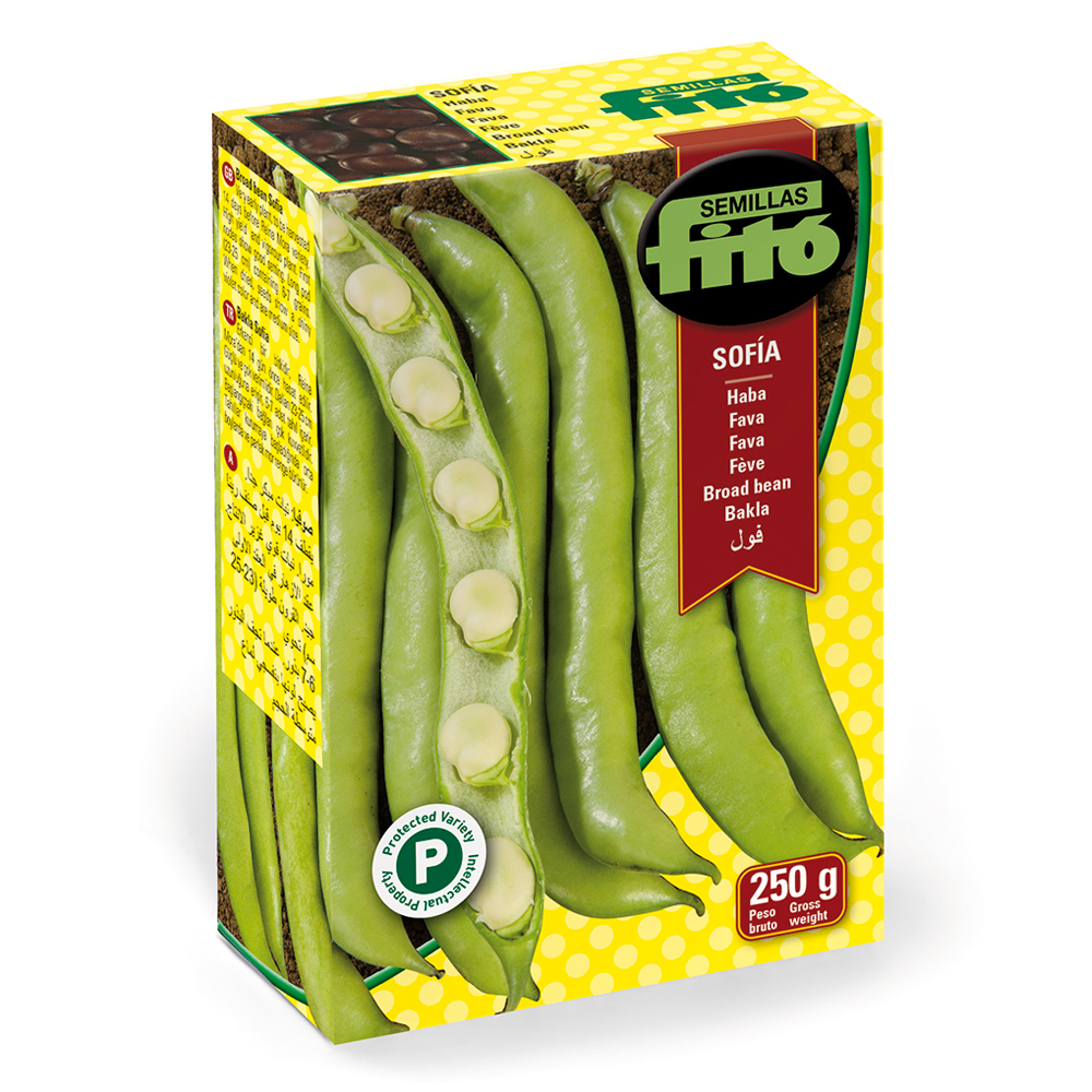 Fava Sofía-358570800
