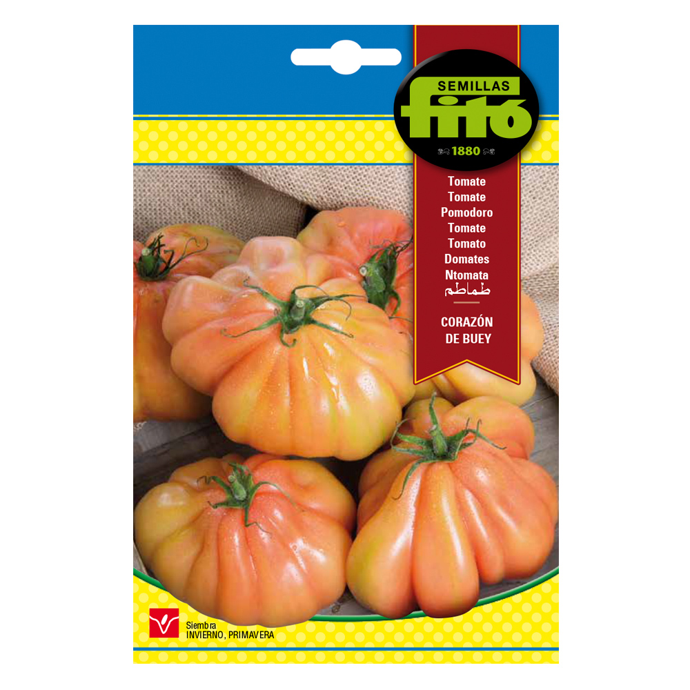 Tomàquet Cor de Bou-35998000