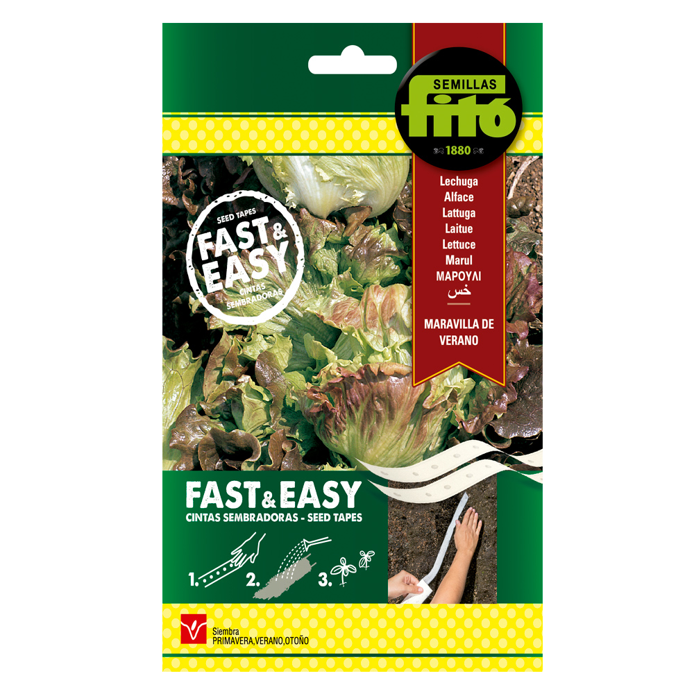 Cintes Enciam Meravella d'estiu Fitó-36103000