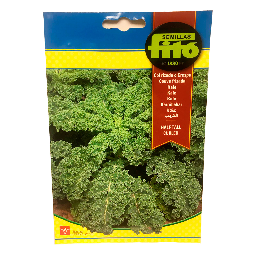 Col Arrissada Half Tall Curled (Kale)-36347000