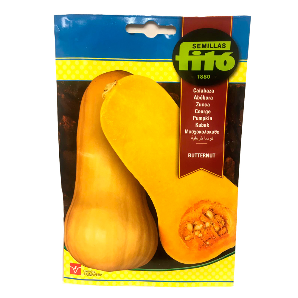 Calabaza Butternut Fitó-36449000