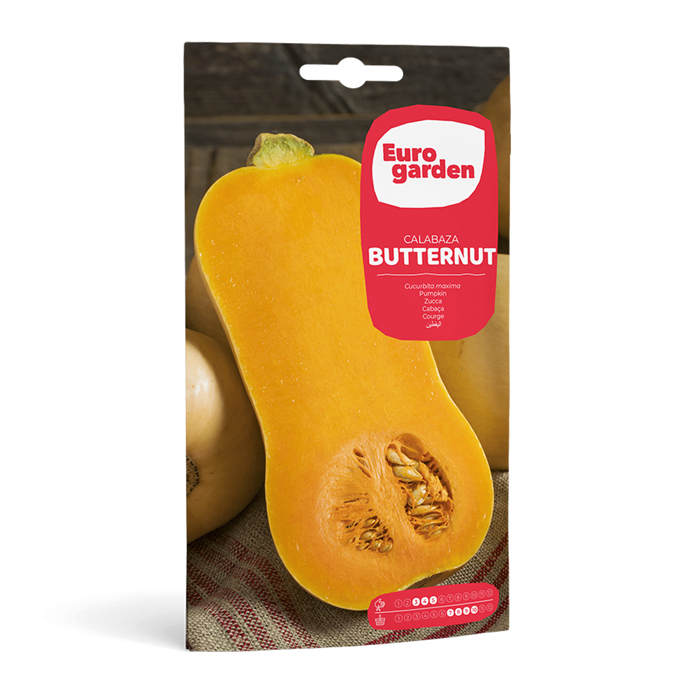 Carbassa Butternut 10 g Eurogarden -36524000