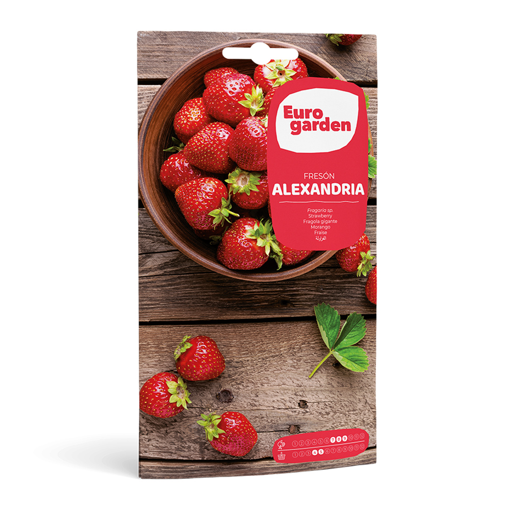 Maduixot Alexandria 0,1 g Eurogarden -36525000