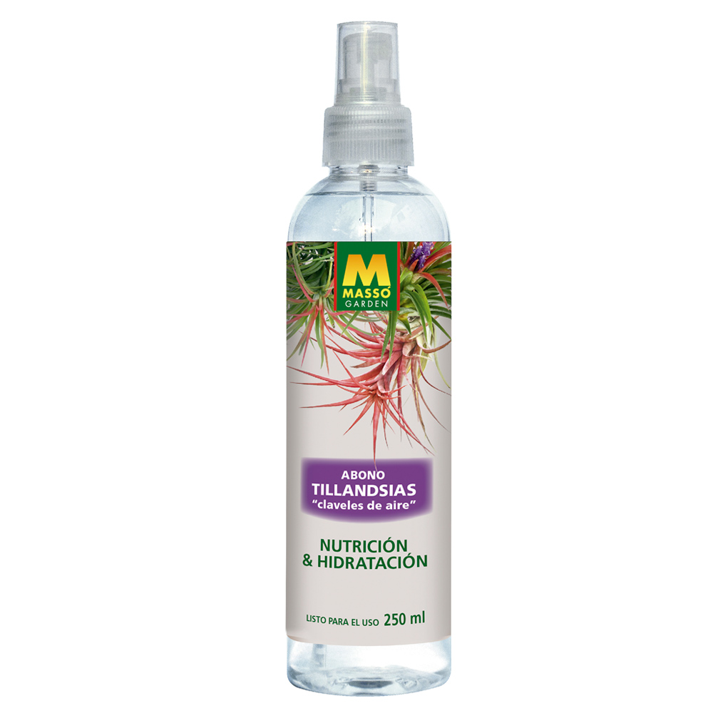 Adob foliar tillàndsies 