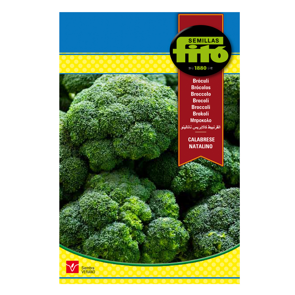 Bròcoli Calabrese Natalino-36827000