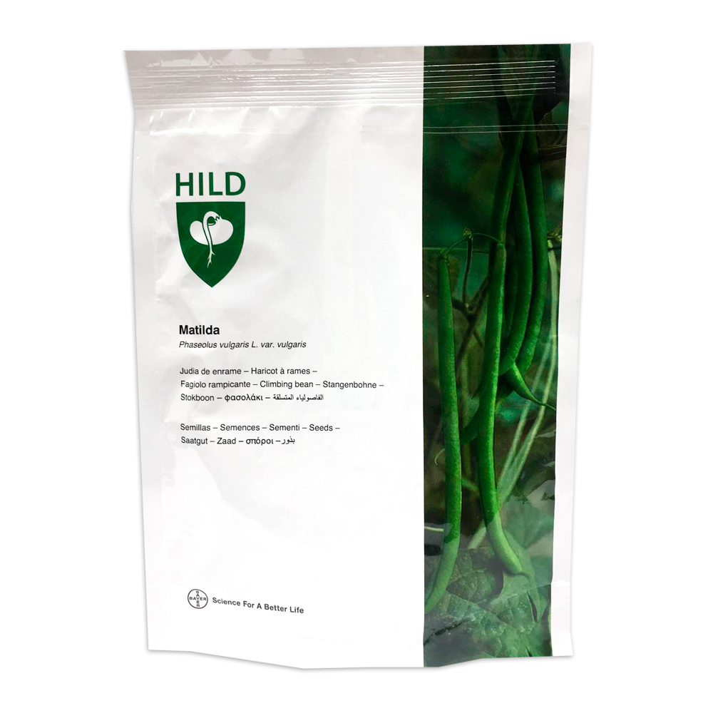Mongeta Matilda (sense tractar)-368830420