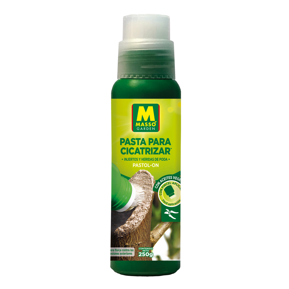 Pasta per a cicatritzar 250 g-37108080