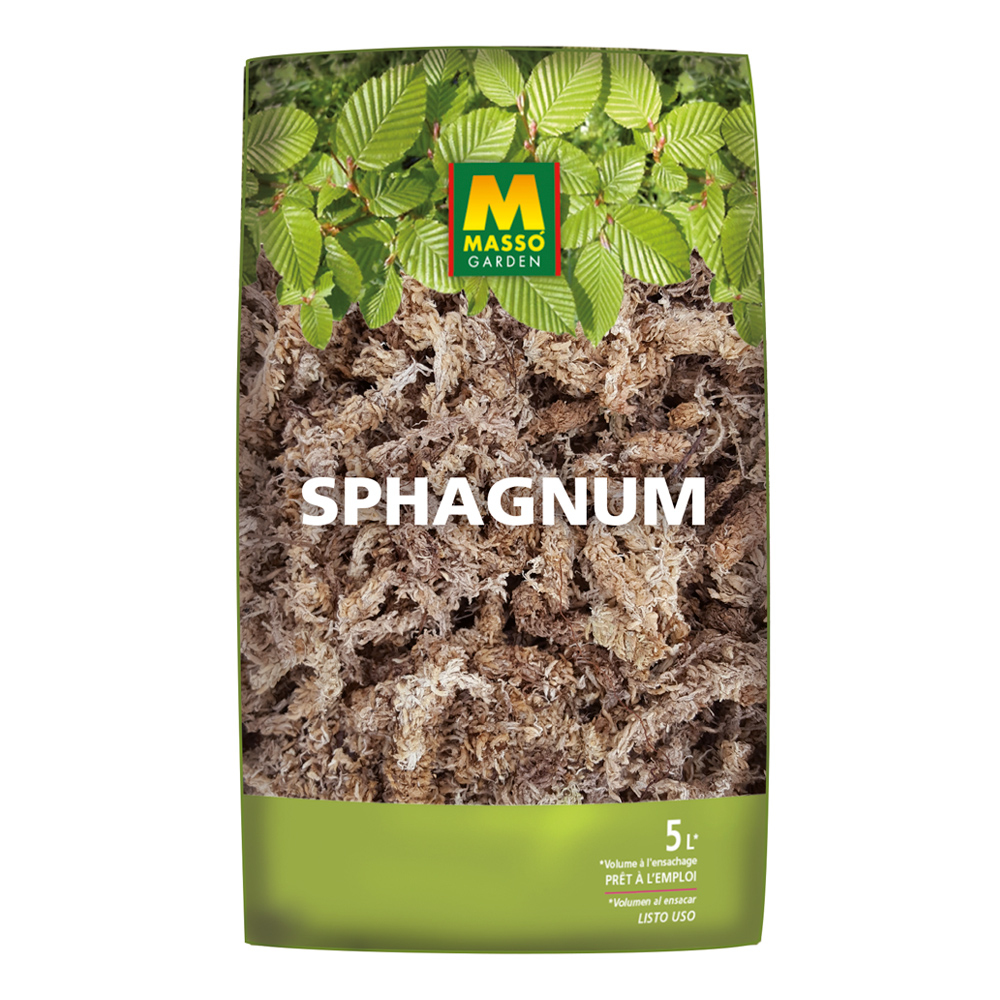 Sphagnum 5 L-37109051
