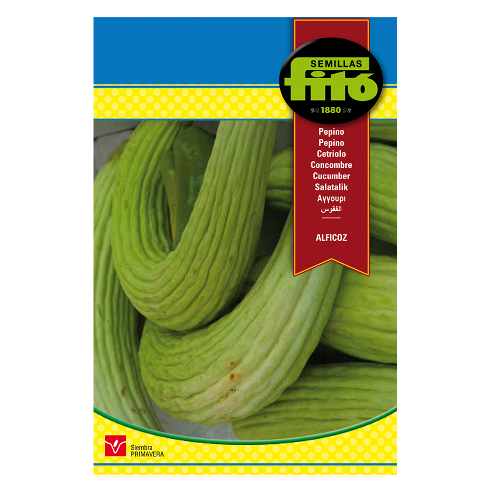Cogombre (meló) Alficòs-37141000
