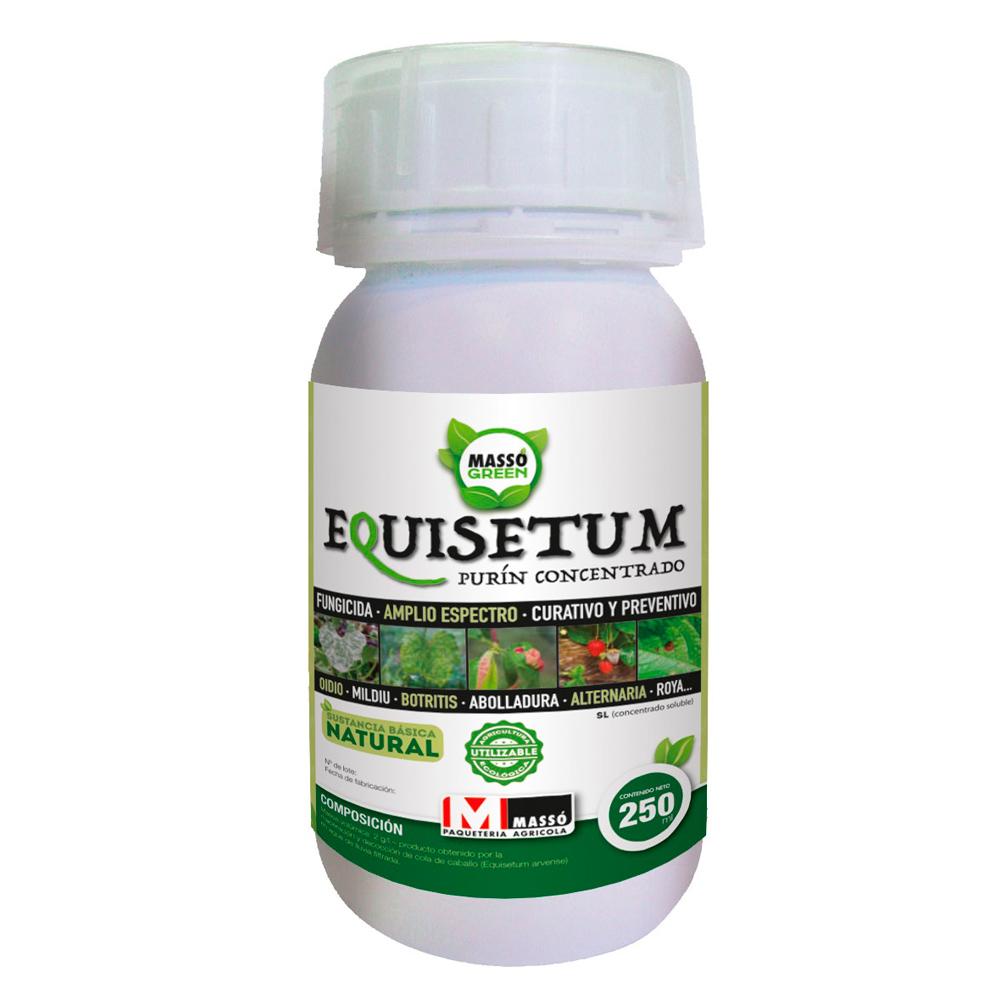 Massogreen Equisetum-372900980