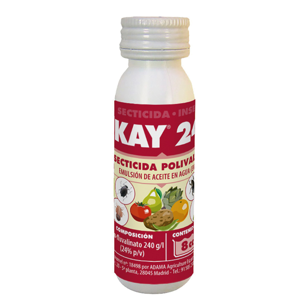 Kay 24 JED-373668080