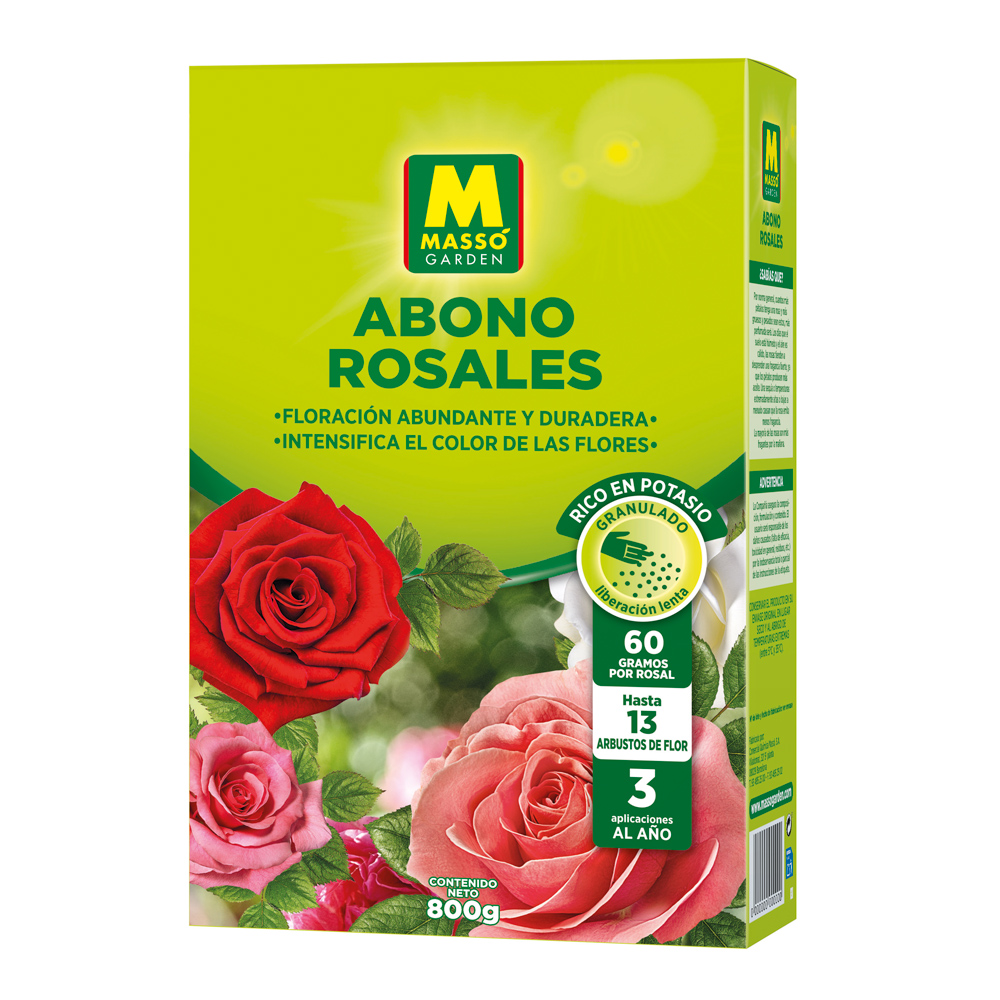 Adob Rosers-373780850