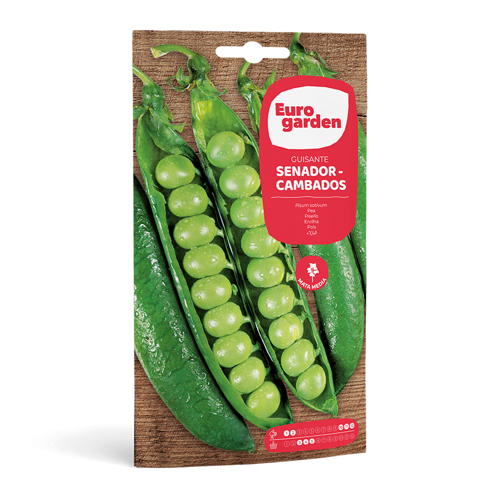 Pèsol Senador - Cambados 35 g Eurogarden -37443000
