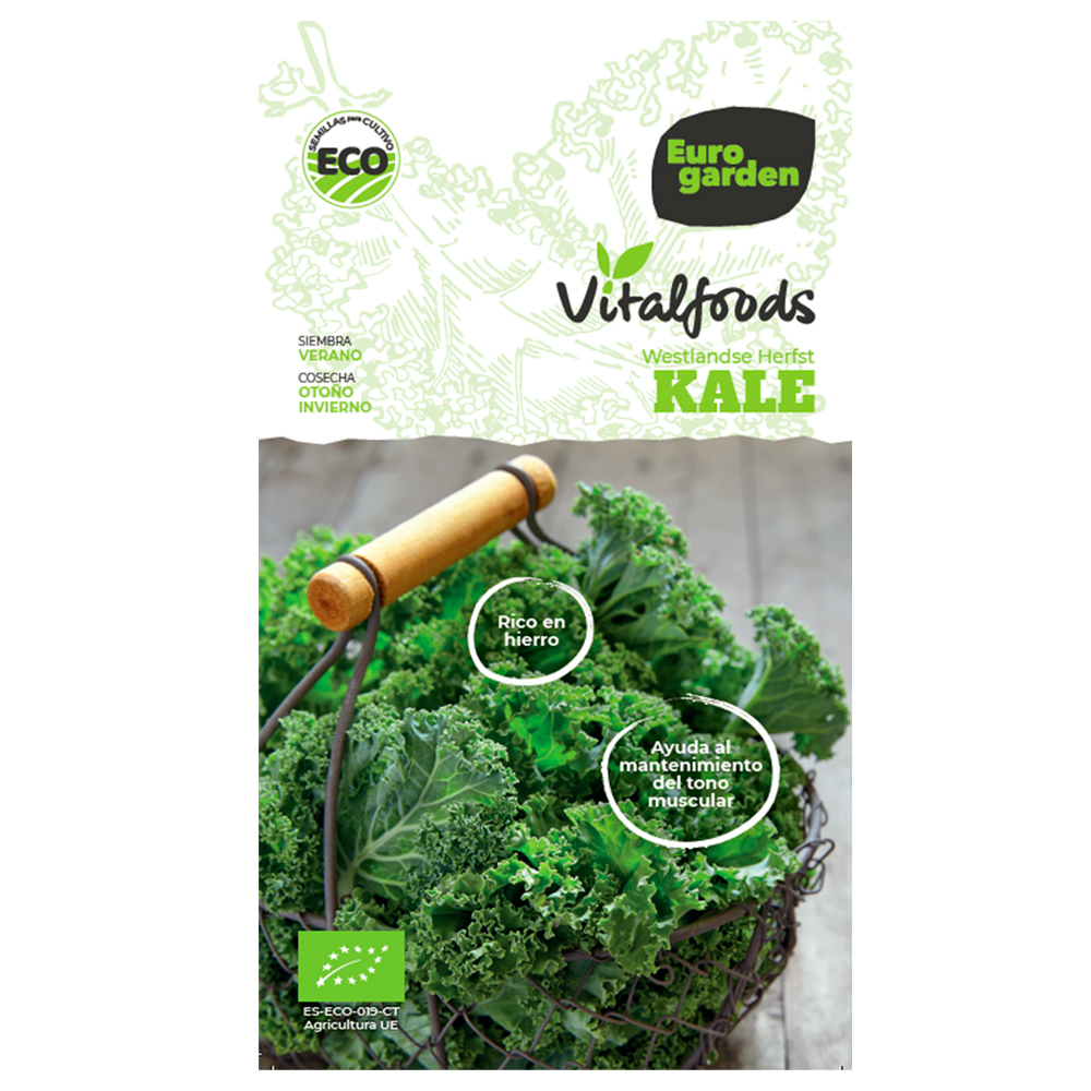 Kale Westlande Herfst Vitalfoods ECO Eurogarden-37476000