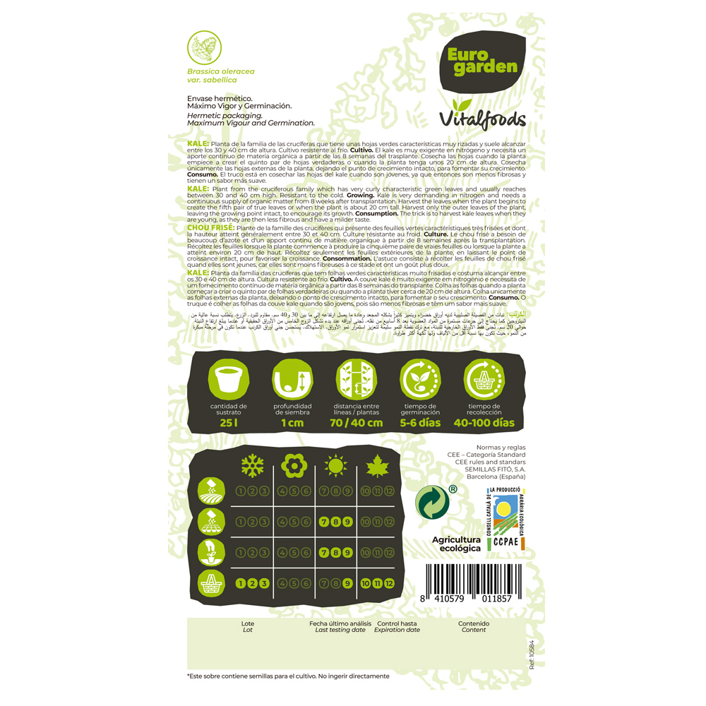 Kale Westlande Herfst Vitalfoods ECO Eurogarden-37476000