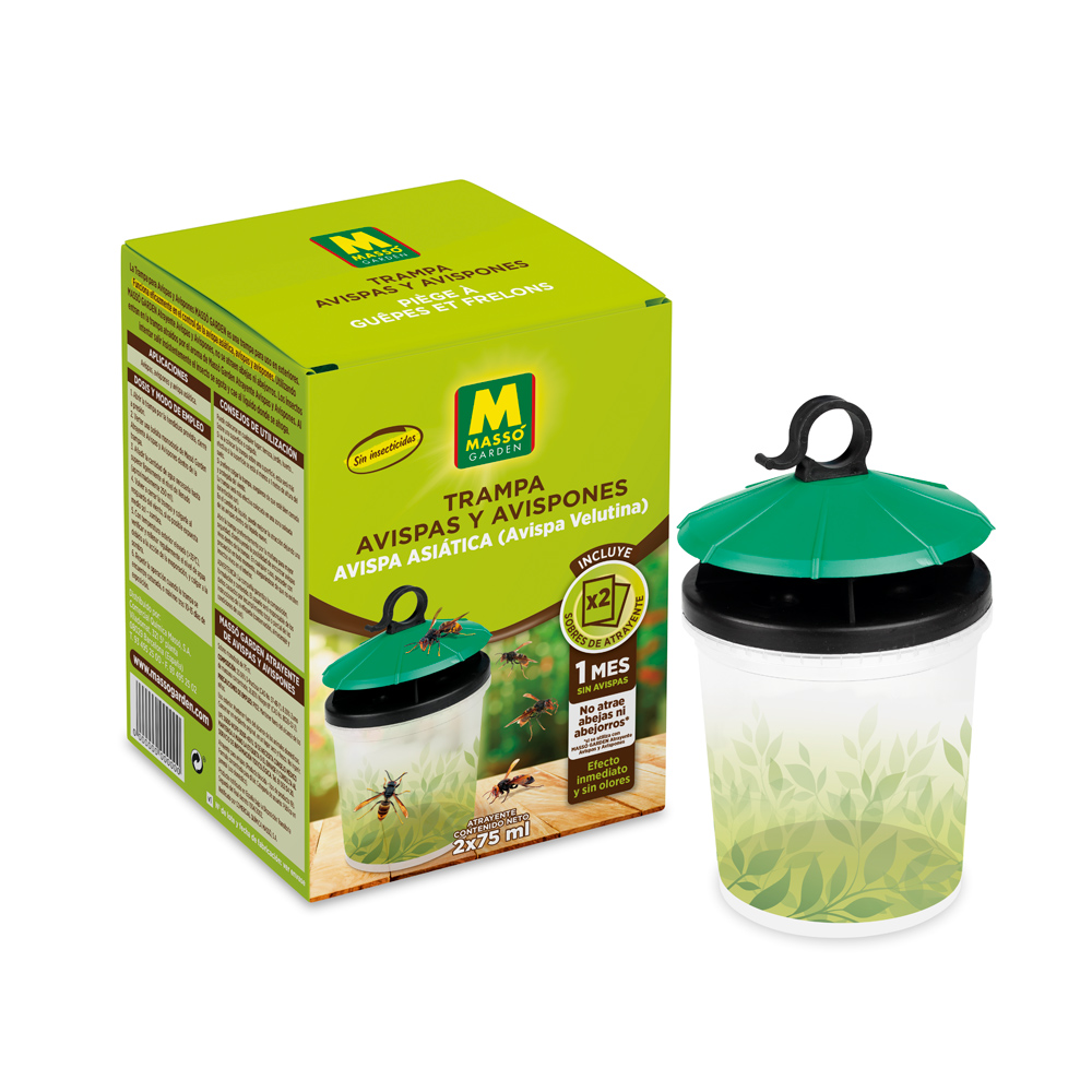 Trampa Vespa Velutina-37723000
