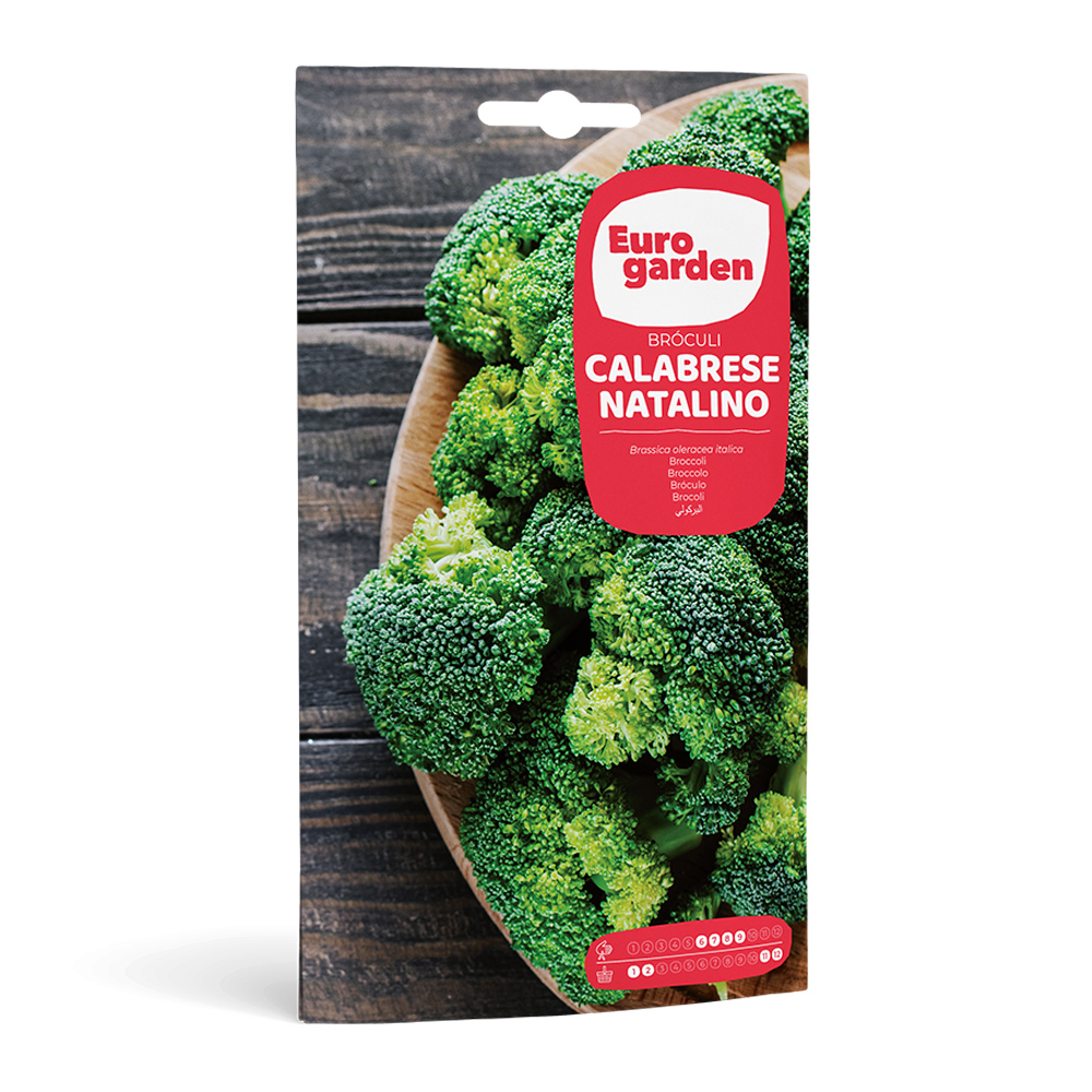 Bròquil Calabrese Natalino 3 g Eurogarden -38027000