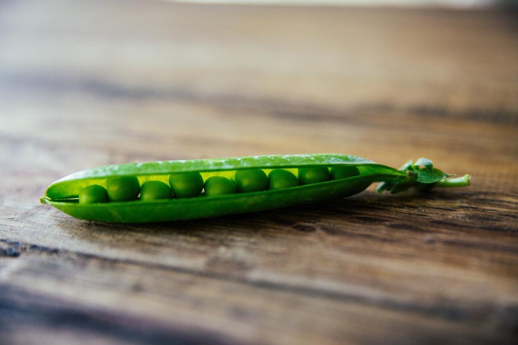 Es la hora de plantar guisantes