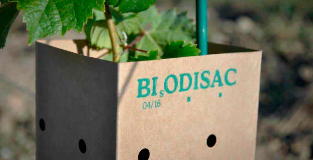 Protector biodegradable per a vinya i noves plantacions