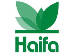 Haifa