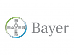 Bayer