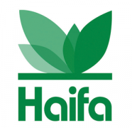 Haifa