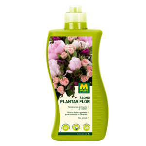 Adob plantes flor