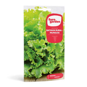 Lechuga Batavia Rubia - Munguia 5 g Eurogarden 