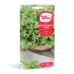 Lechuga Batavia Verde - Utebo 5 g Eurogarden 