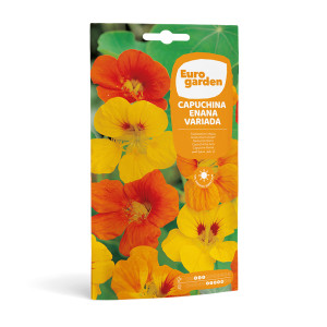 Capuchina Enana Variada 6 g Eurogarden