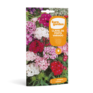 Clavell de Poeta Variado 3 g Eurogarden