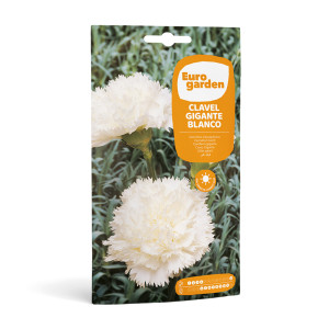 Clavel Gigante Blanco 0,6 g Eurogarden 