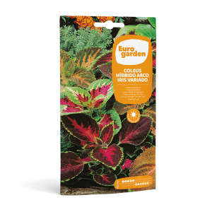 Coleus Híbrido Arco Iris Variado 0,4 g Eurogarden 