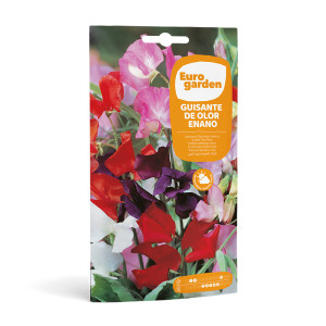 Guisante Olor Enano 6 g Eurogarden 