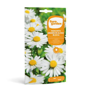 Margarida Grande de Alaska Blanca 2 g Eurogarden