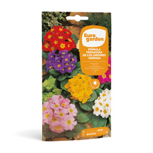 Prímula Primavera de los Jardines Variada 0,3 g Eurogarden