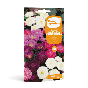 Reina Margarida Enana Variada 1,5 g Eurogarden