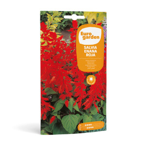 Salvia Enana Roja 0,6 g Eurogarden 