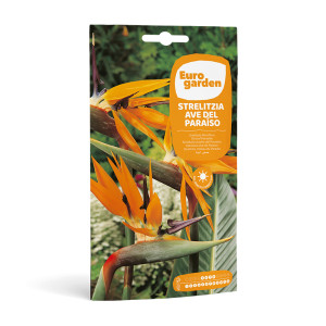 Strelitzia Ave del Paraíso 4 semillas Eurogarden