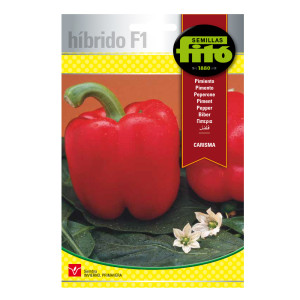 Pimiento Carisma Híbrida Fitó