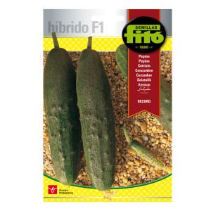 Pepino Record Híbrida Fitó