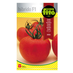 Tomate Crisol Híbrida Fitó