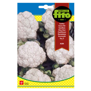 Coliflor Alba