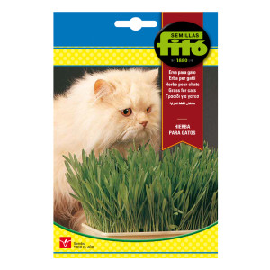 Herba per a gats Fitó
