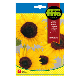 Girasol Ornamental