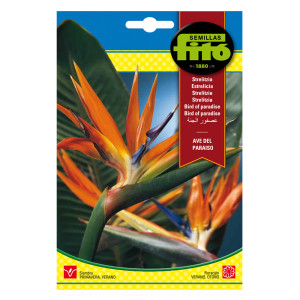 Strelitzia Ave del Paraíso