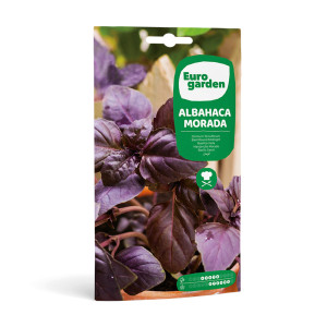 Albahaca Morada Sobre 3 g Eurogarden 