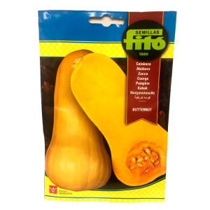 Calabaza Butternut Fitó