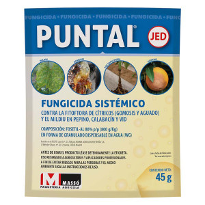 Puntal JED